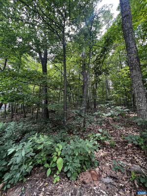 TBD WEEPING ROCK LN, WINTERGREEN RESORT, VA 22967, photo 3 of 18