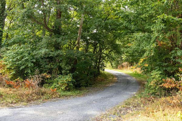 B16 DOYLE RD, LURAY, VA 22835 - Image 1