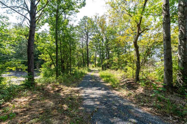 TBD COLD SPRINGS RD, GREENVILLE, VA 24440 - Image 1