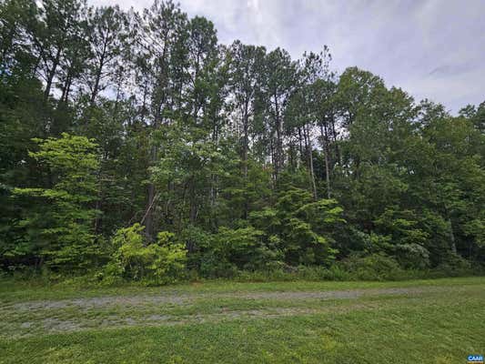 SLATE RIVER TRL, ARVONIA, VA 23004 - Image 1