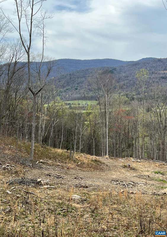 TBD LOT 22 & 23 DYKE RD, STANARDSVILLE, VA 22973, photo 1 of 45