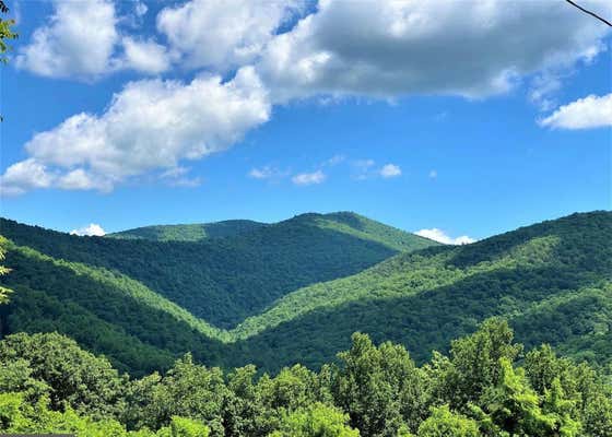 TBD OVERLOOK MOUNTAIN RD, ELKTON, VA 22827 - Image 1