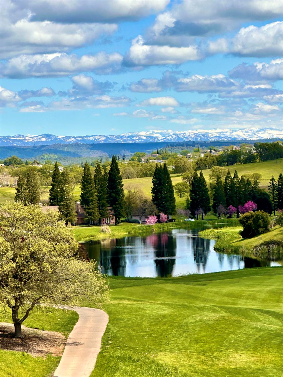 Copperopolis, California, 95228, United States, 4 Bedrooms Bedrooms, ,3 BathroomsBathrooms,Residential,Active,1954314