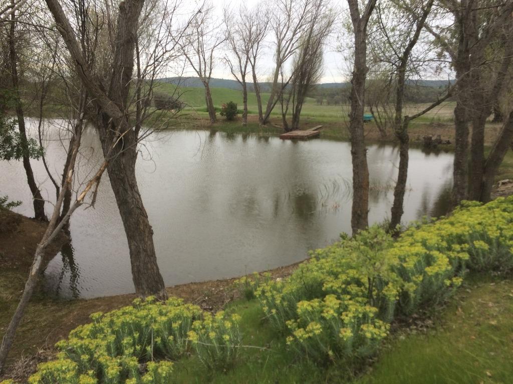 Copperopolis, California, 95228, United States, 2 Bedrooms Bedrooms, ,2 BathroomsBathrooms,Residential,Active,1962245