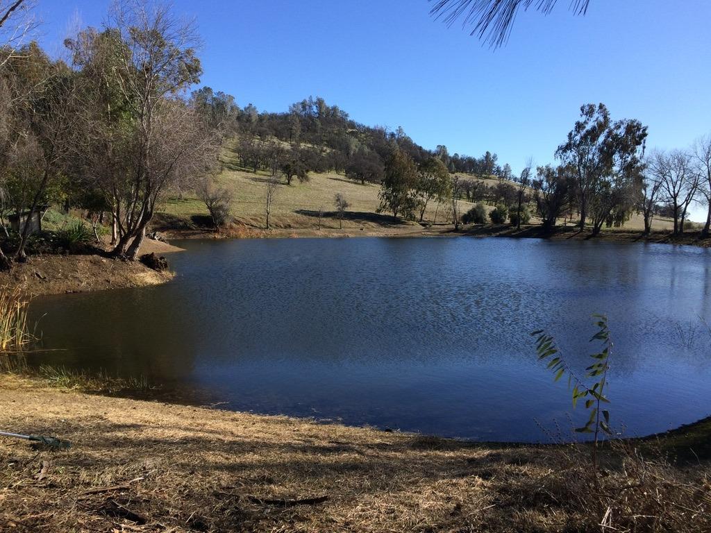 Copperopolis, California, 95228, United States, 2 Bedrooms Bedrooms, ,2 BathroomsBathrooms,Residential,Active,1962245