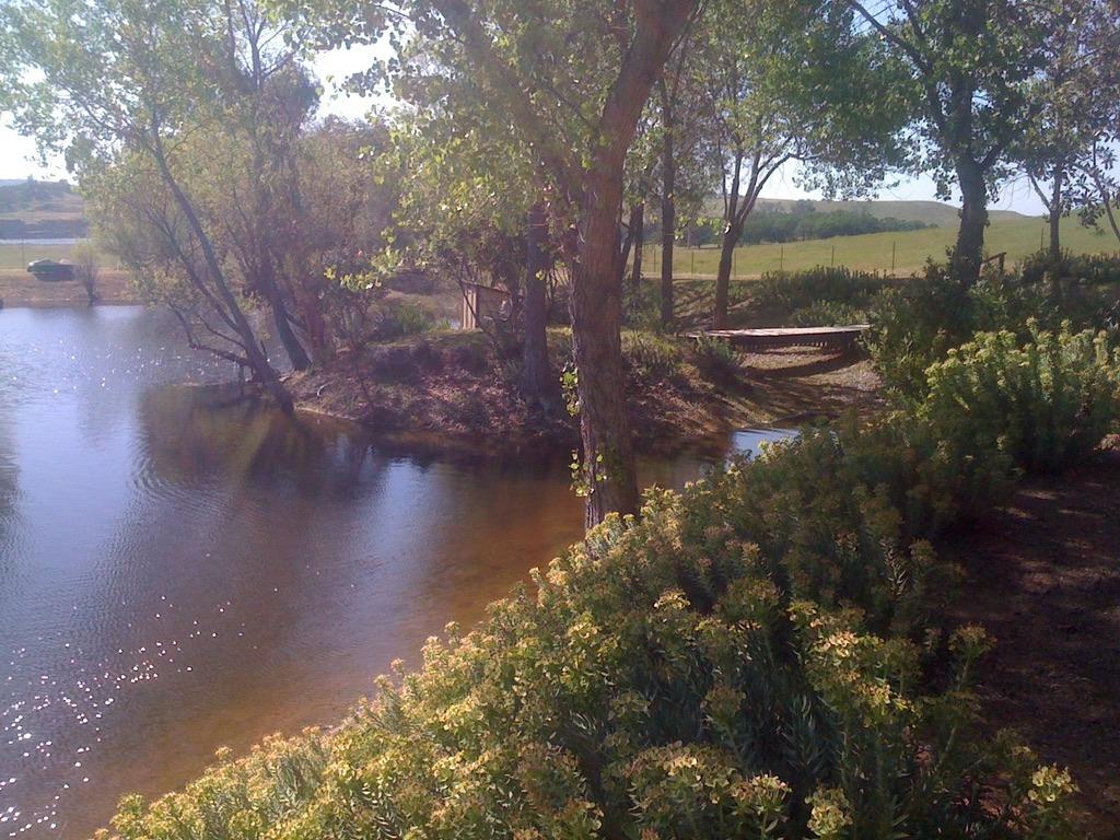 Copperopolis, California, 95228, United States, 2 Bedrooms Bedrooms, ,2 BathroomsBathrooms,Residential,Active,1962245