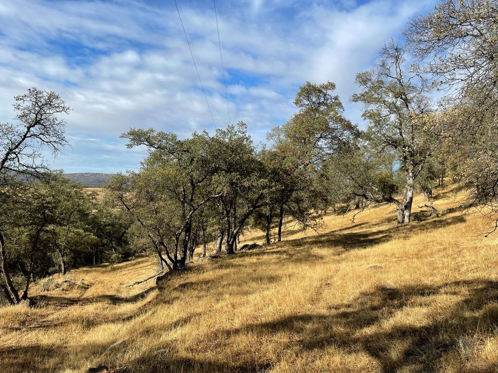 Copperopolis, California, 95228, United States, 2 Bedrooms Bedrooms, ,2 BathroomsBathrooms,Residential,Active,1962245