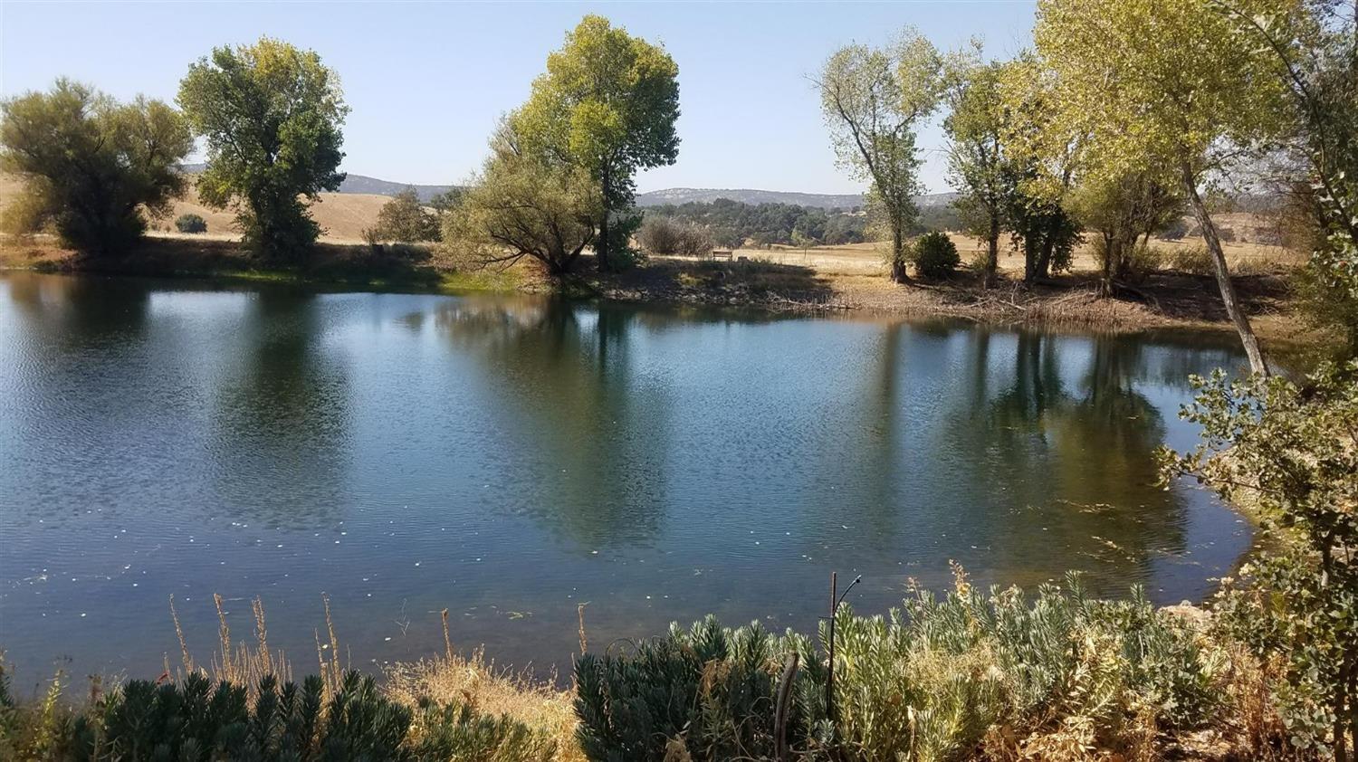 Copperopolis, California, 95228, United States, 2 Bedrooms Bedrooms, ,2 BathroomsBathrooms,Residential,Active,1962245