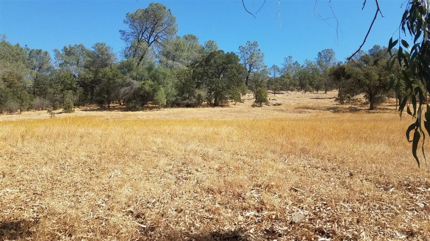 Copperopolis, California, 95228, United States, 2 Bedrooms Bedrooms, ,2 BathroomsBathrooms,Residential,Active,1962245