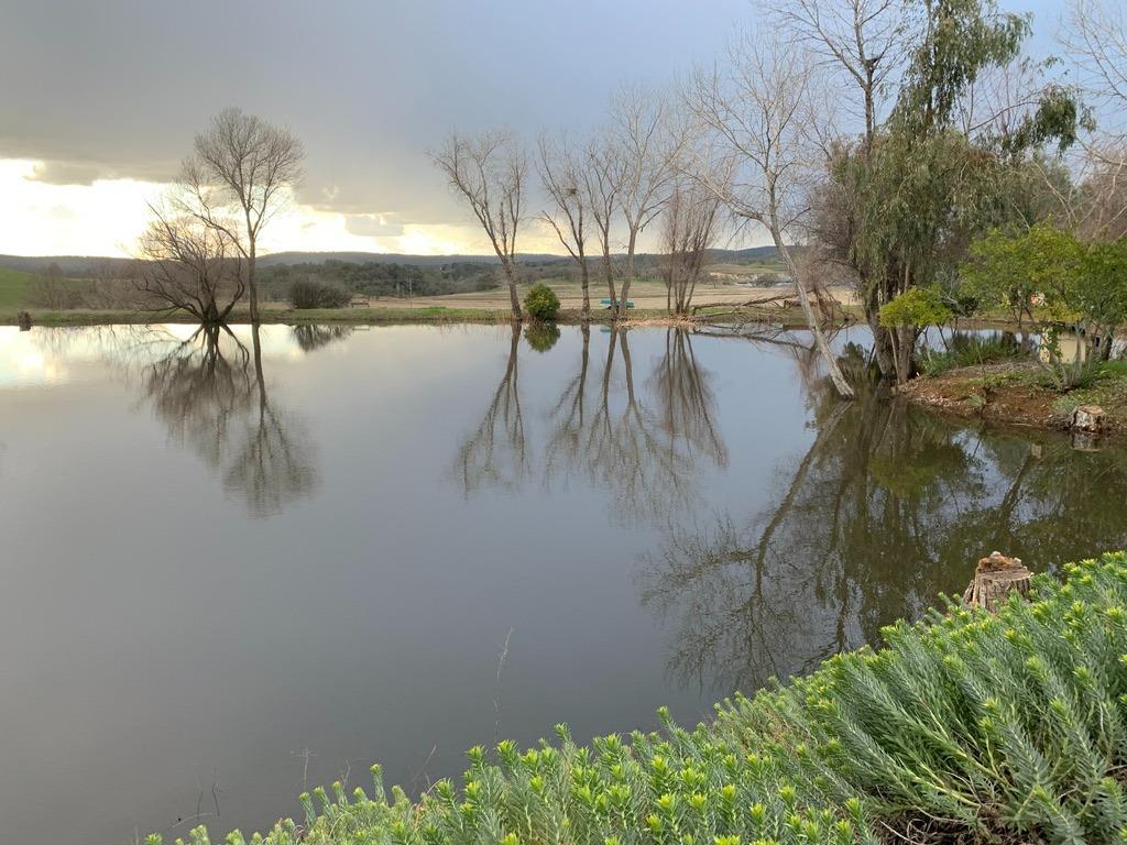 Copperopolis, California, 95228, United States, 2 Bedrooms Bedrooms, ,2 BathroomsBathrooms,Residential,Active,1962245