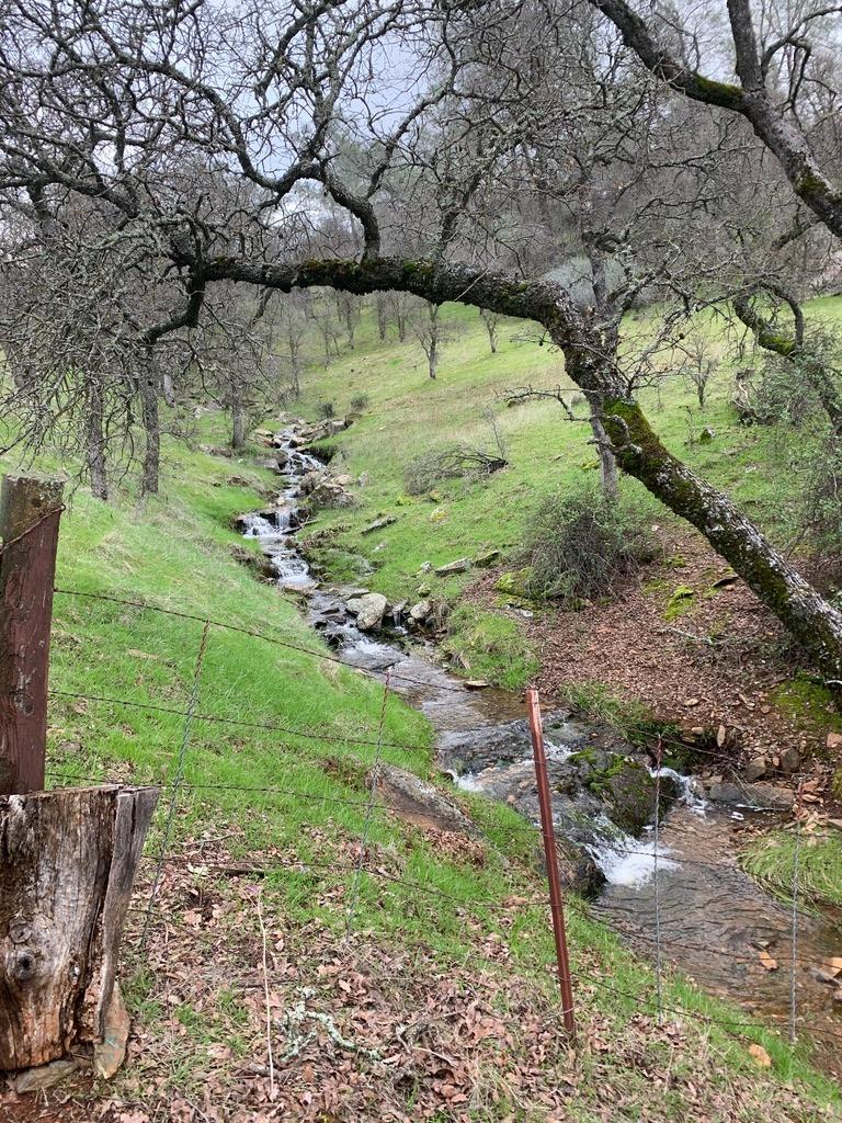 Copperopolis, California, 95228, United States, 2 Bedrooms Bedrooms, ,2 BathroomsBathrooms,Residential,Active,1962245