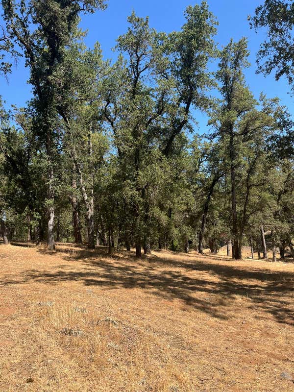 5578 RAILROAD FLAT RD # 5489, MOUNTAIN RANCH, CA 95246, photo 1 of 5