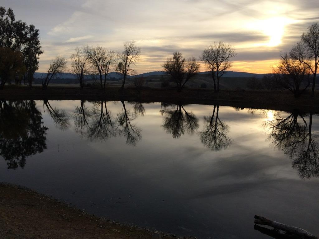 Copperopolis, California, 95228, United States, 2 Bedrooms Bedrooms, ,2 BathroomsBathrooms,Residential,Active,1962245