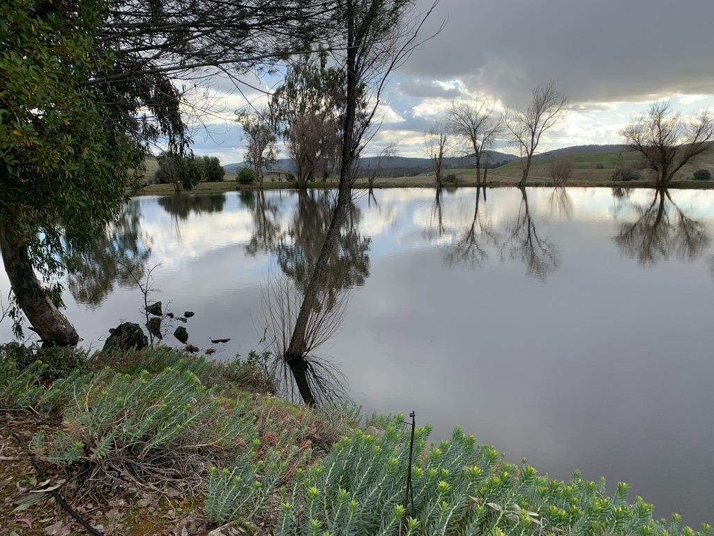 Copperopolis, California, 95228, United States, 2 Bedrooms Bedrooms, ,2 BathroomsBathrooms,Residential,Active,1962245