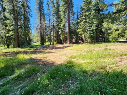 251 QUAKING ASPEN RD, BEAR VALLEY, CA 95223 - Image 1