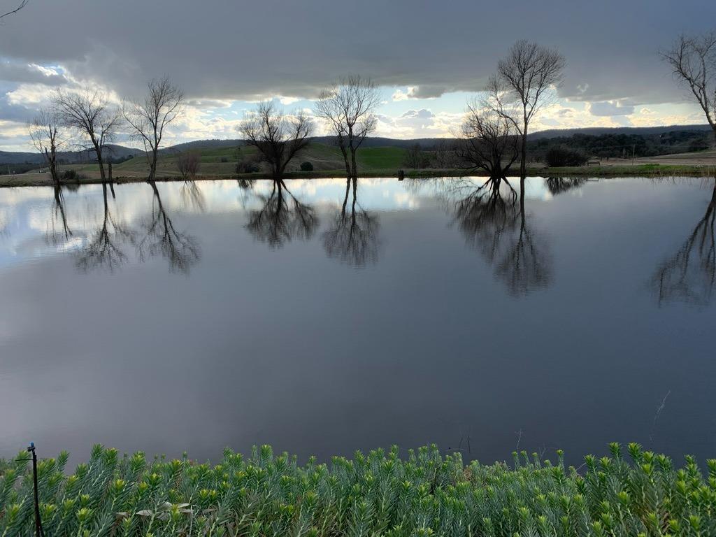 Copperopolis, California, 95228, United States, 2 Bedrooms Bedrooms, ,2 BathroomsBathrooms,Residential,Active,1962245