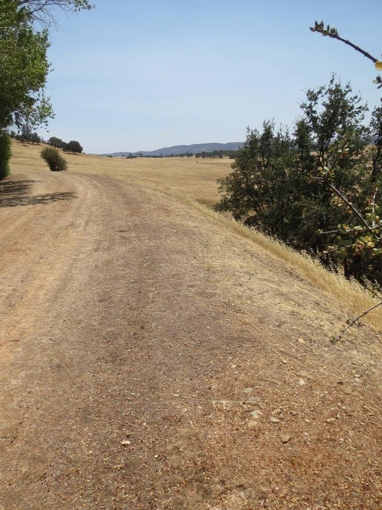 Copperopolis, California, 95228, United States, 2 Bedrooms Bedrooms, ,2 BathroomsBathrooms,Residential,Active,1962245