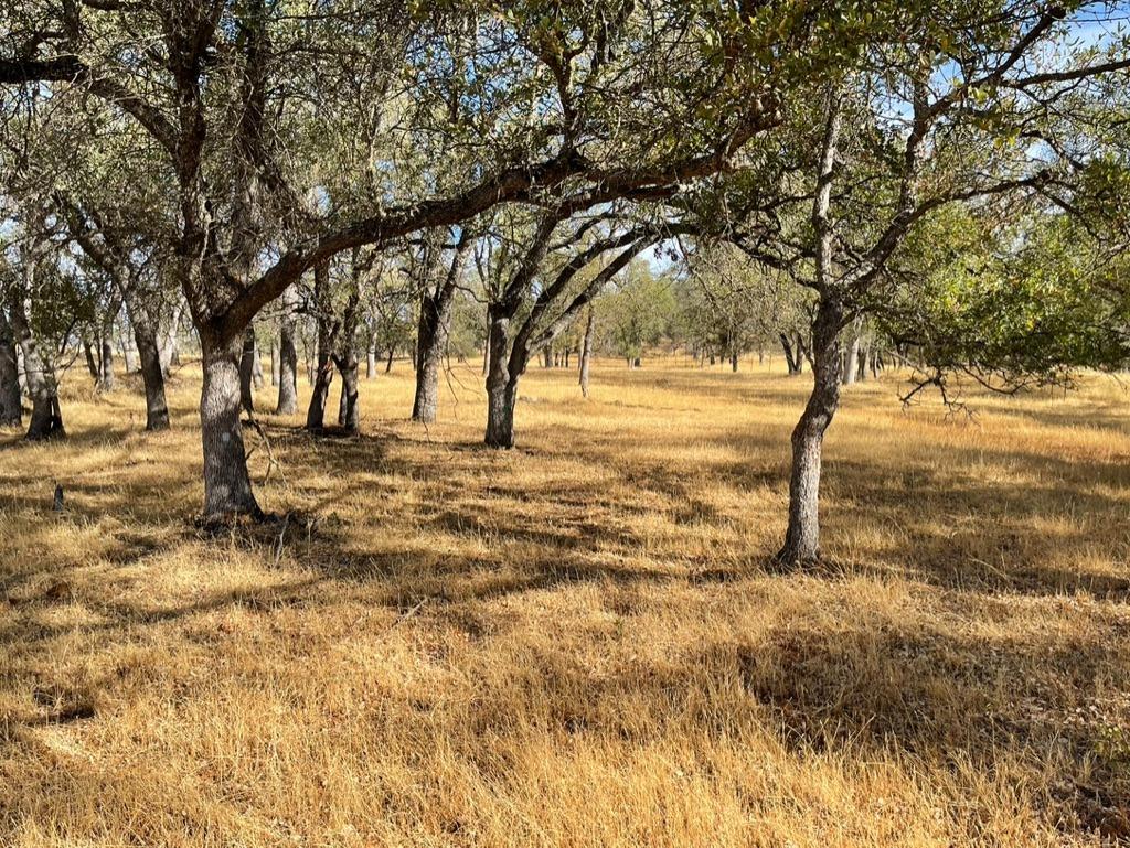 Copperopolis, California, 95228, United States, 2 Bedrooms Bedrooms, ,2 BathroomsBathrooms,Residential,Active,1962245