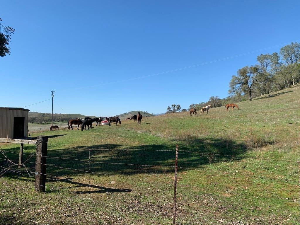 Copperopolis, California, 95228, United States, 2 Bedrooms Bedrooms, ,2 BathroomsBathrooms,Residential,Active,1962245