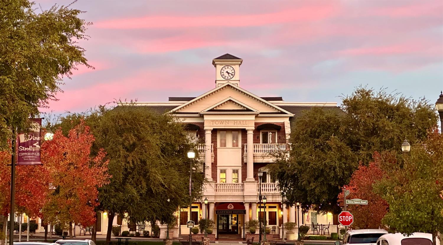 Copperopolis, California, 95228, United States, 4 Bedrooms Bedrooms, ,4 BathroomsBathrooms,Residential,Active,1824924