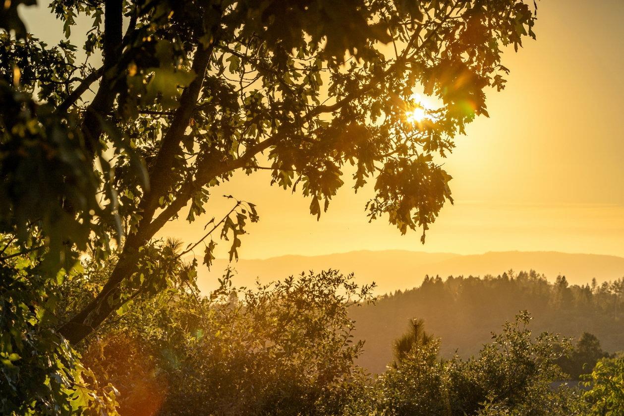 Murphys, California, 95247, United States, ,Residential,Pending,1703568