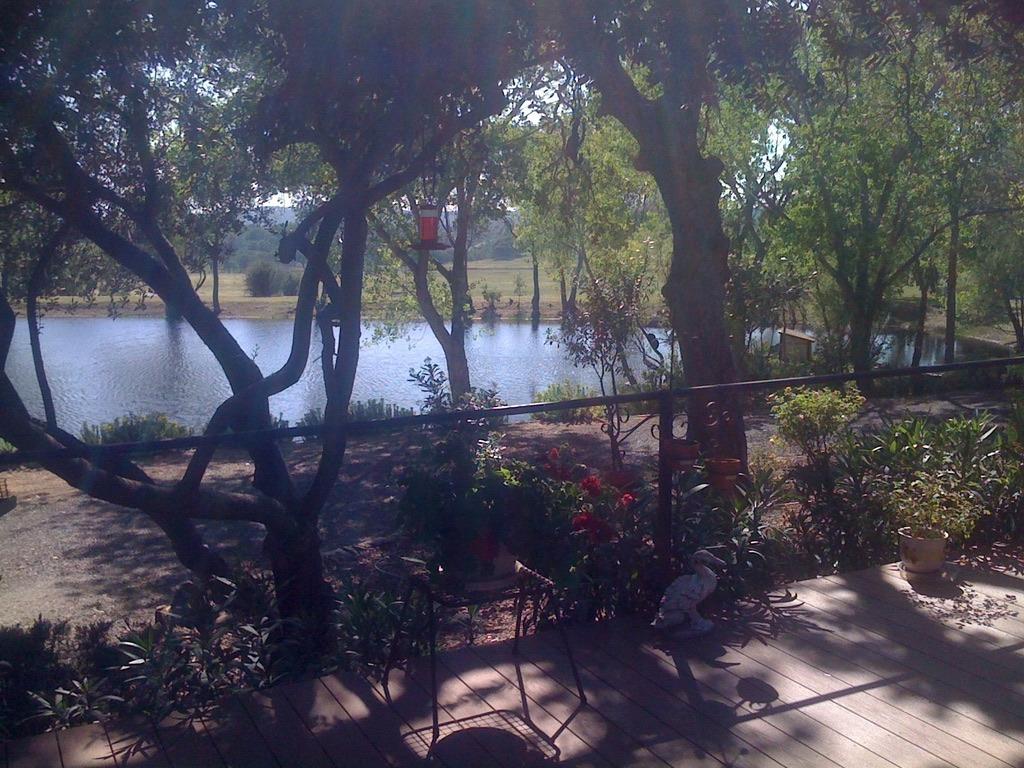 Copperopolis, California, 95228, United States, 2 Bedrooms Bedrooms, ,2 BathroomsBathrooms,Residential,Active,1962245