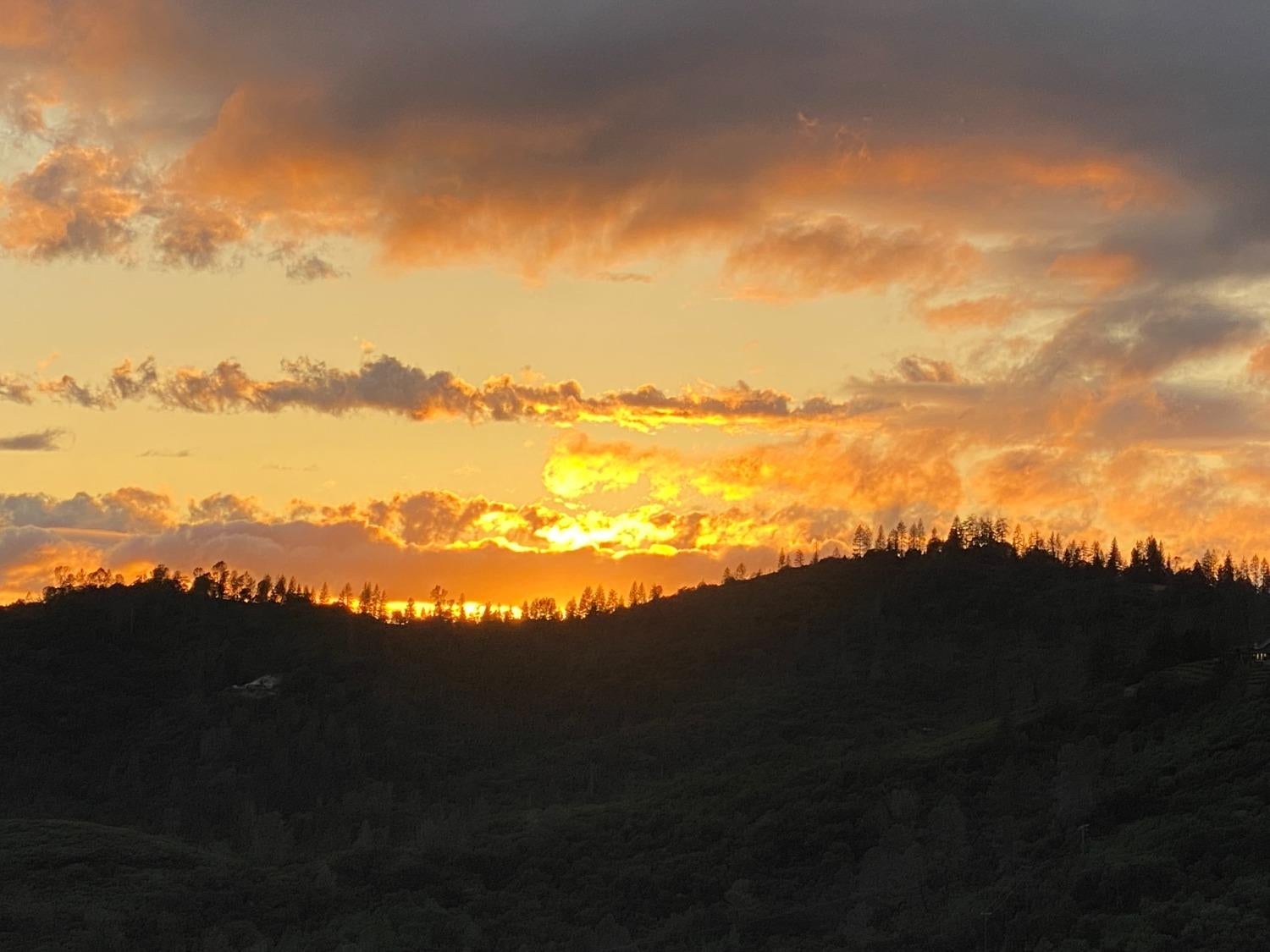 Murphys, California, 95247, United States, 4 Bedrooms Bedrooms, ,5 BathroomsBathrooms,Residential,Active,1741565