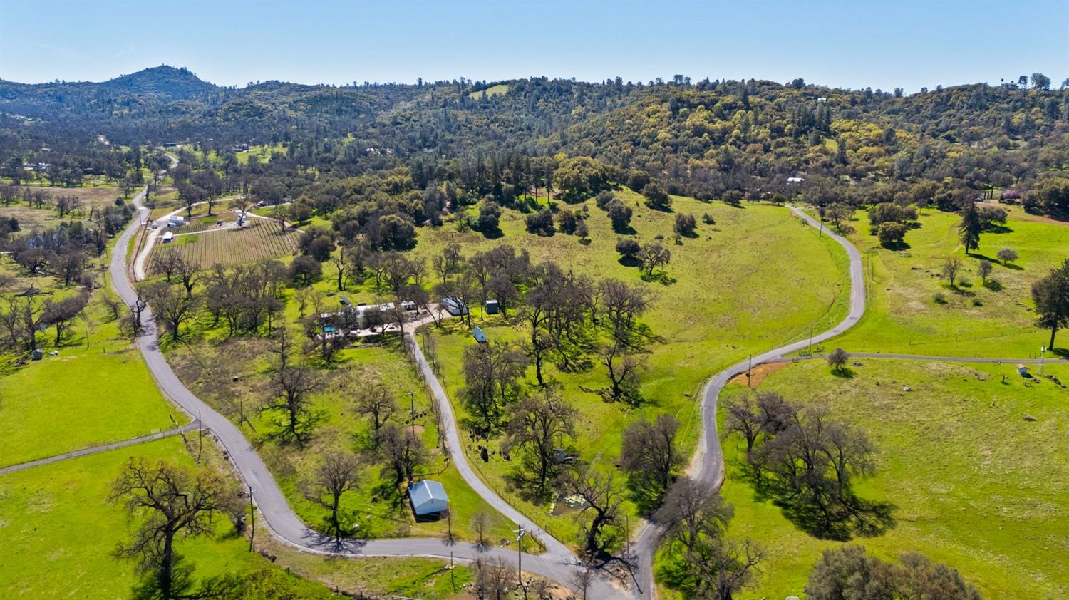 Angels Camp, California, 95222, United States, 4 Bedrooms Bedrooms, ,4 BathroomsBathrooms,Residential,Active,1749215