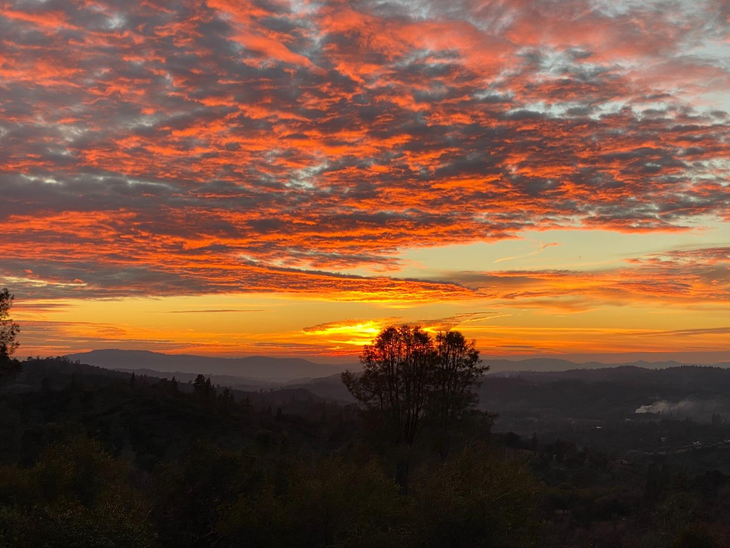 Murphys, California, 95247, United States, 4 Bedrooms Bedrooms, ,5 BathroomsBathrooms,Residential,Active,1741565