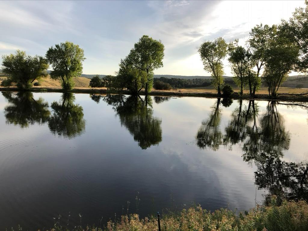 Copperopolis, California, 95228, United States, 2 Bedrooms Bedrooms, ,2 BathroomsBathrooms,Residential,Active,1962245