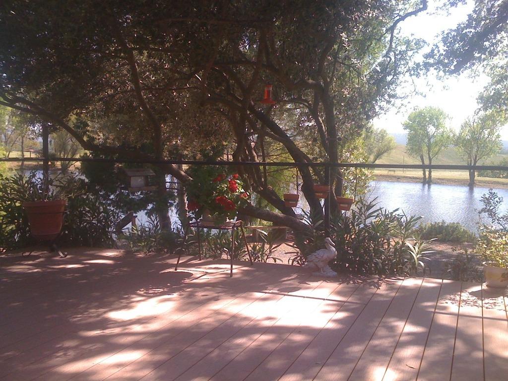 Copperopolis, California, 95228, United States, 2 Bedrooms Bedrooms, ,2 BathroomsBathrooms,Residential,Active,1962245