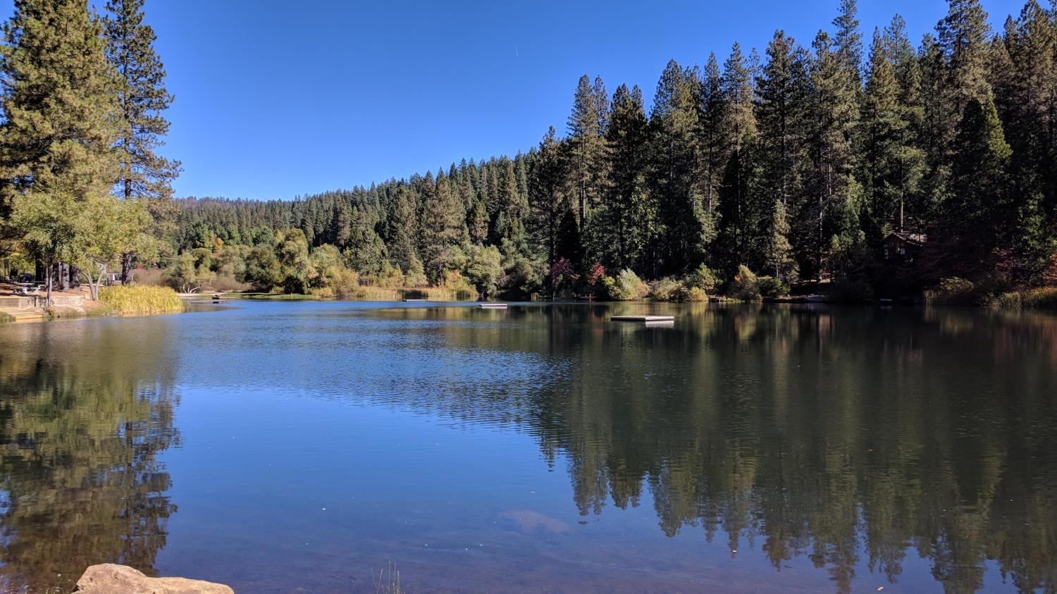 Murphys, California, 95247, United States, ,Residential,Pending,1703568