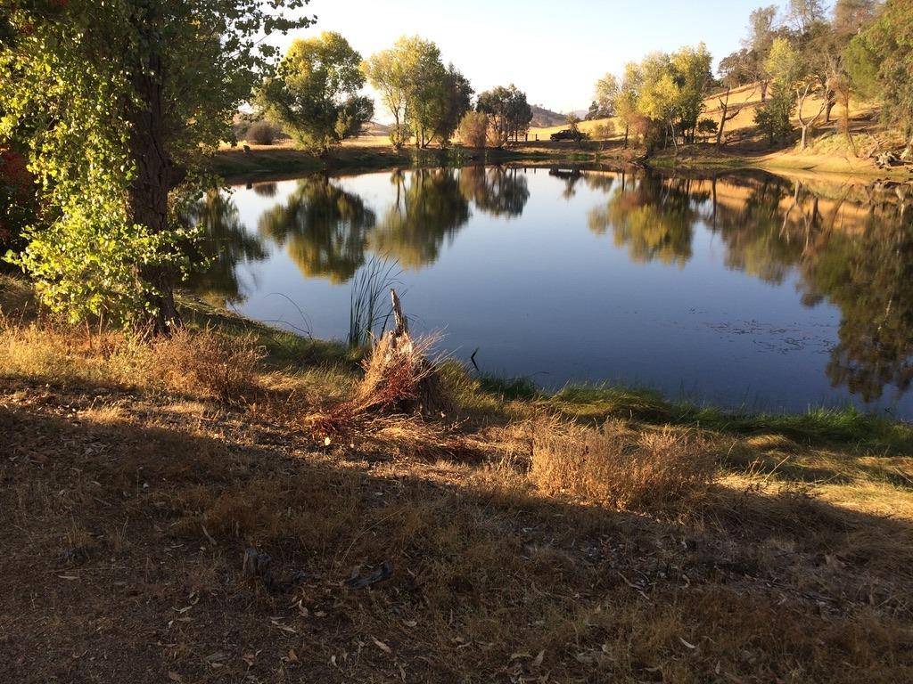 Copperopolis, California, 95228, United States, 2 Bedrooms Bedrooms, ,2 BathroomsBathrooms,Residential,Active,1962245