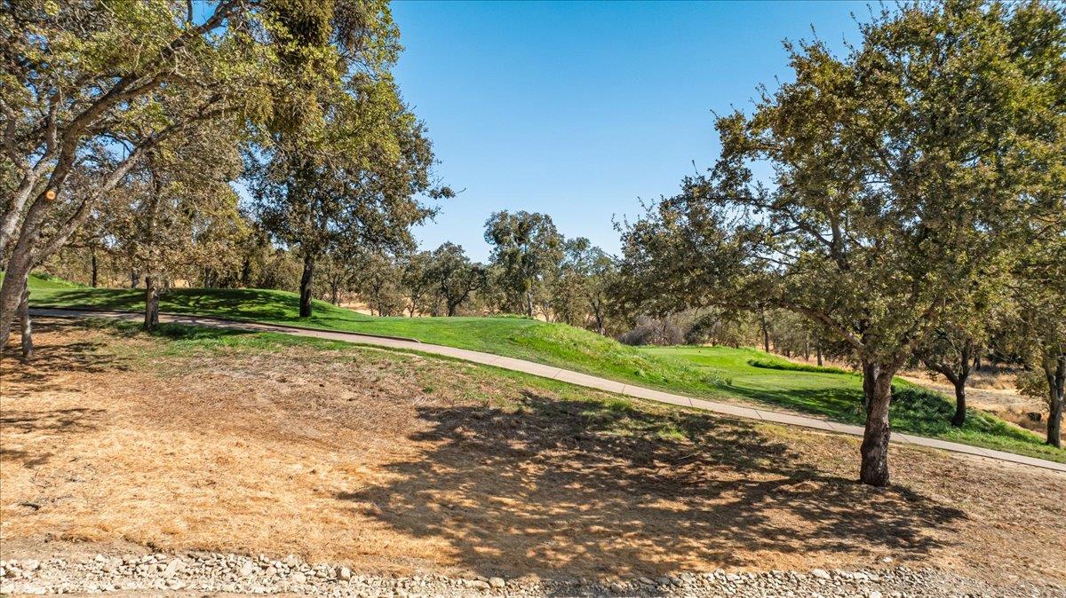 Copperopolis, California, 95228, United States, 4 Bedrooms Bedrooms, ,4 BathroomsBathrooms,Residential,Active,1824924