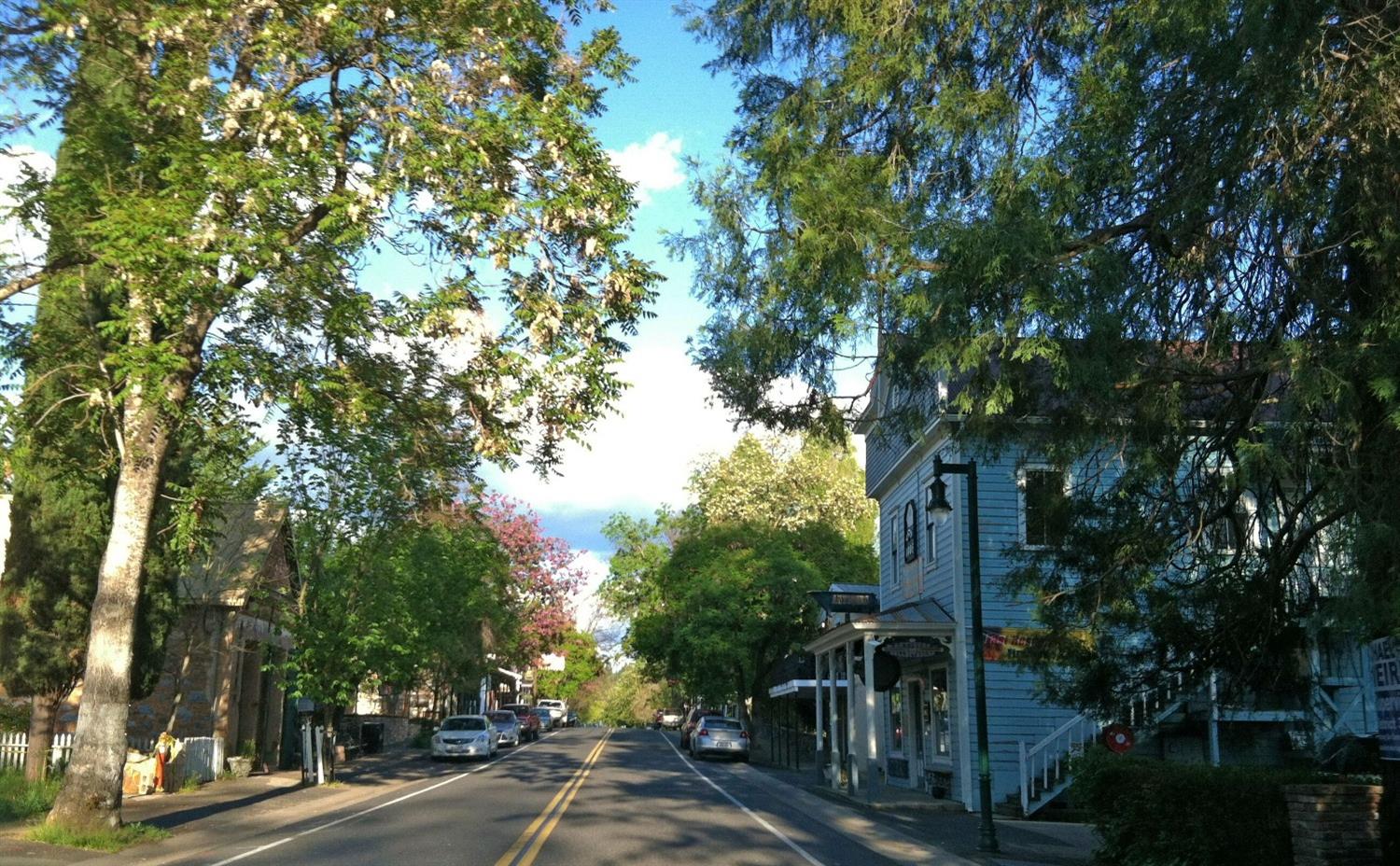 Murphys, California, 95247, United States, ,Residential,Pending,1703568