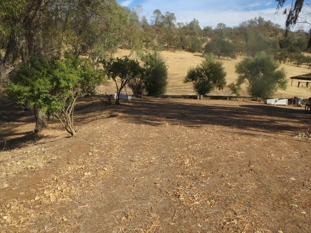 Copperopolis, California, 95228, United States, 2 Bedrooms Bedrooms, ,2 BathroomsBathrooms,Residential,Active,1962245