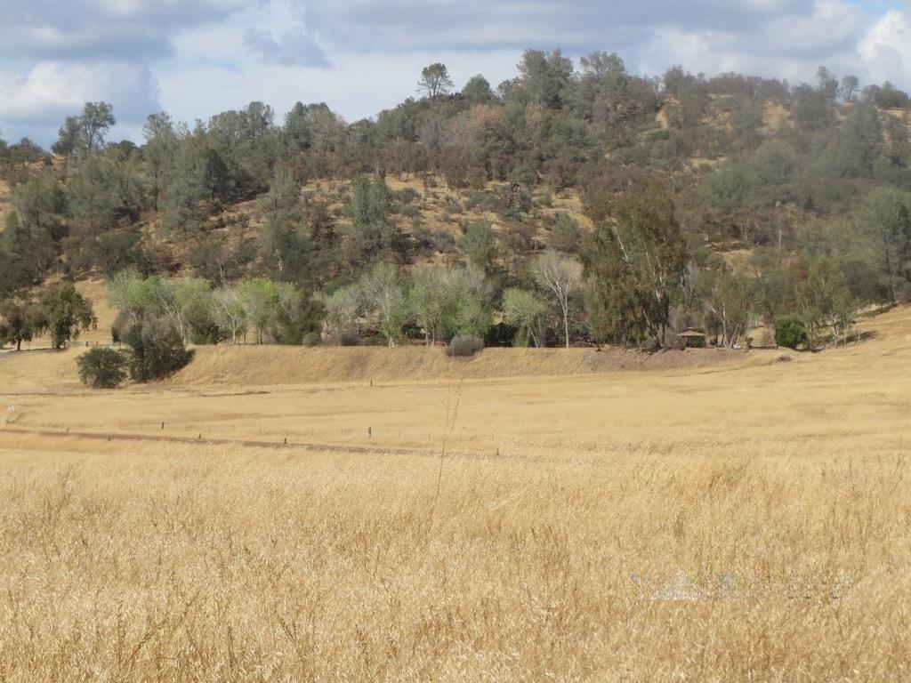 Copperopolis, California, 95228, United States, 2 Bedrooms Bedrooms, ,2 BathroomsBathrooms,Residential,Active,1962245