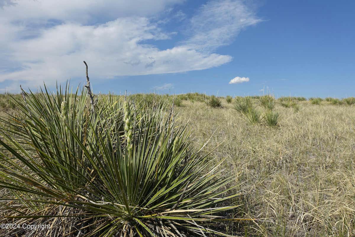 TBD SAND HILLS RD., MOORCROFT, WY 82721, photo 1 of 2