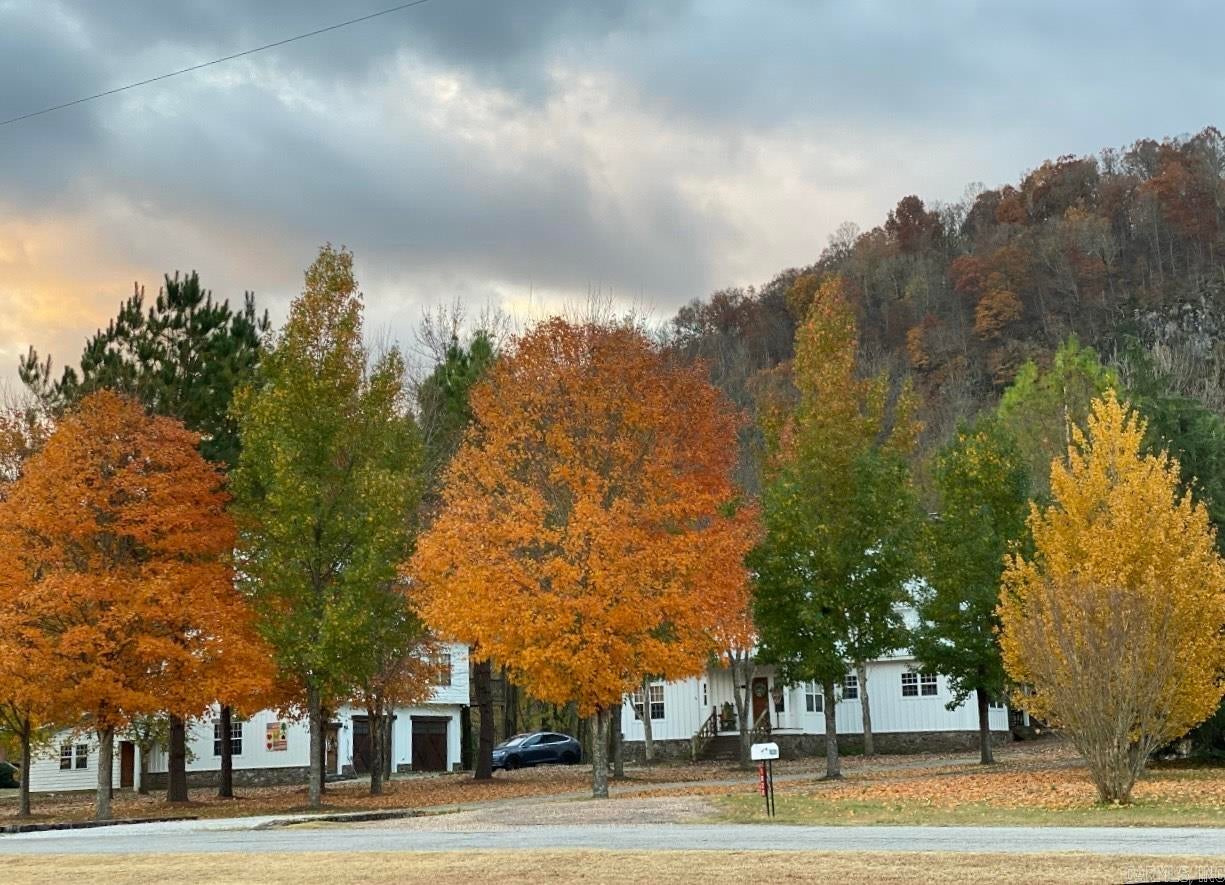 Mountain View, Arkansas, 72560, United States, ,5 BathroomsBathrooms,Residential,Active,1849223