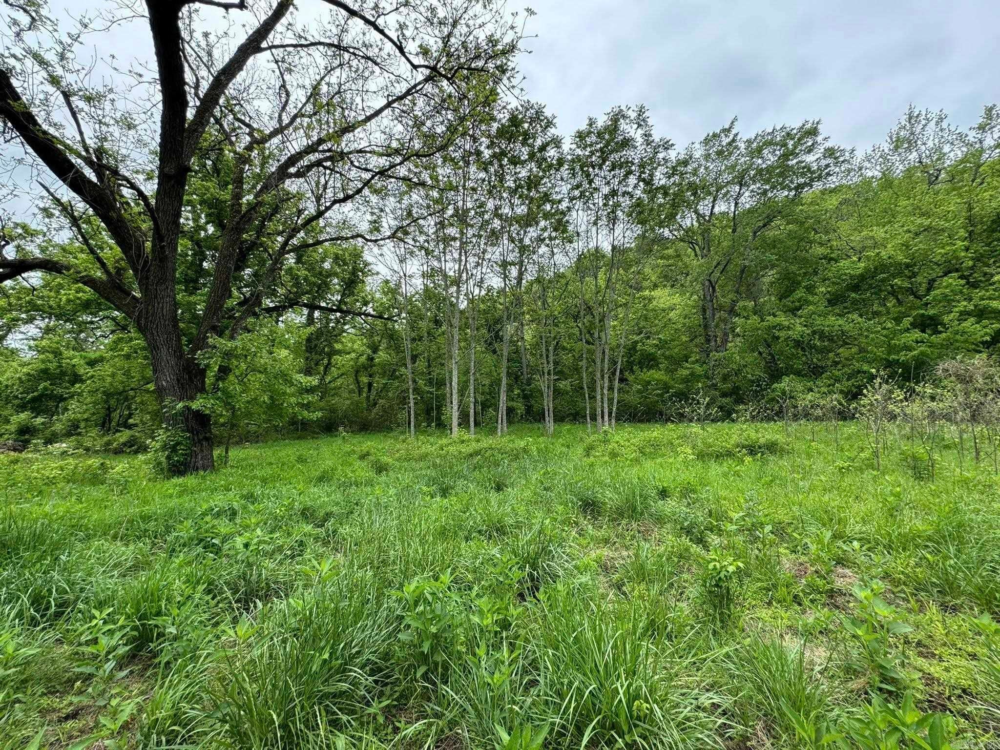 Fifty-Six, Arkansas, 72533, United States, 3 Bedrooms Bedrooms, ,1 BathroomBathrooms,Residential,Active,1787166