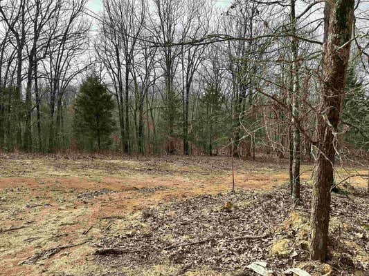 LOT 2 RABY ROAD, HARRISBURG, AR 72432 - Image 1