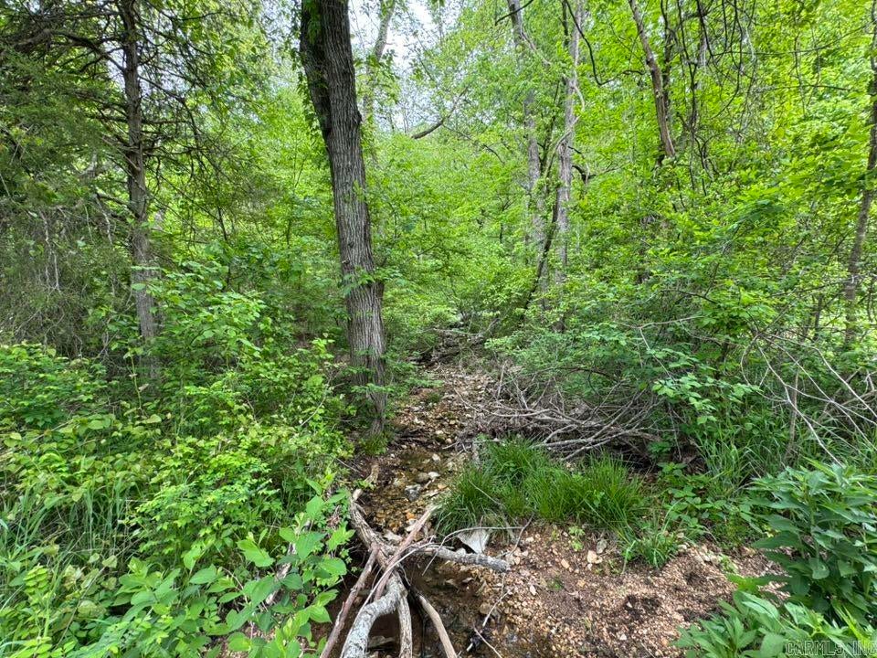 Fifty-Six, Arkansas, 72533, United States, 3 Bedrooms Bedrooms, ,1 BathroomBathrooms,Residential,Active,1787166