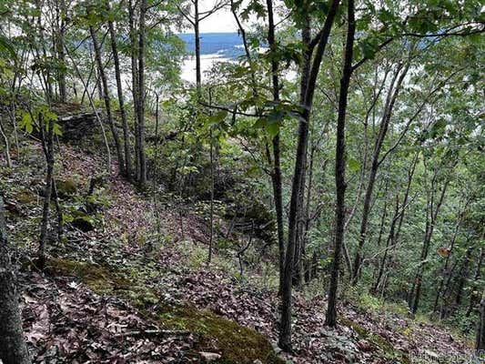 LOT 39 BLUFF VIEW DR, QUITMAN, AR 72131 - Image 1