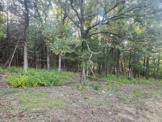 LOT 17 INDIAN KNOB, MOUNTAIN VIEW, AR 72560 - Image 1