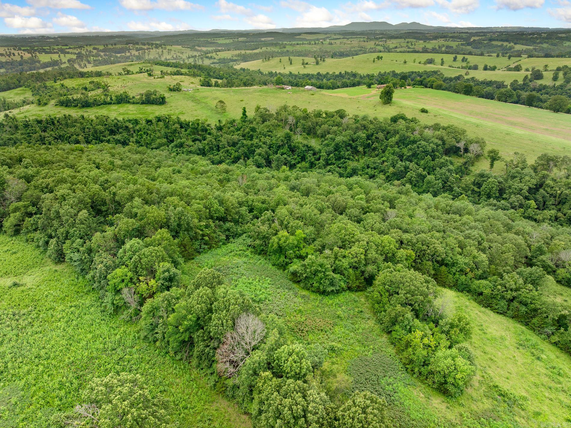 Harrison, Arkansas, 72601, United States, 4 Bedrooms Bedrooms, ,3 BathroomsBathrooms,Residential,Active,1952504