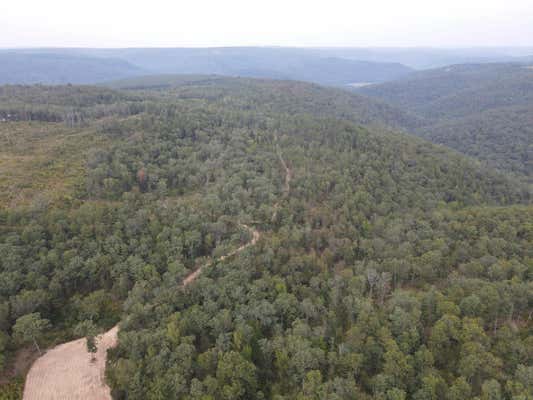 81 +/- PUMPKIN CENTER RD., CLINTON, AR 72031, photo 4 of 6