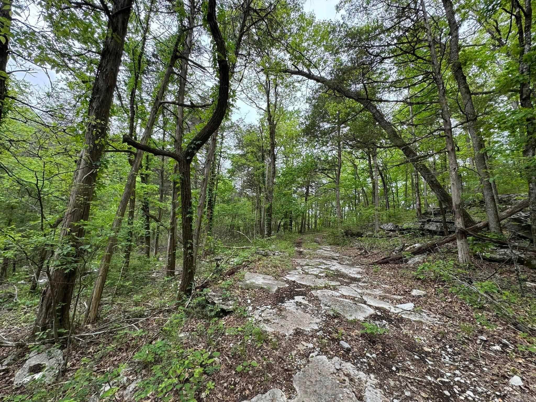 Fifty-Six, Arkansas, 72533, United States, 3 Bedrooms Bedrooms, ,1 BathroomBathrooms,Residential,Active,1787166