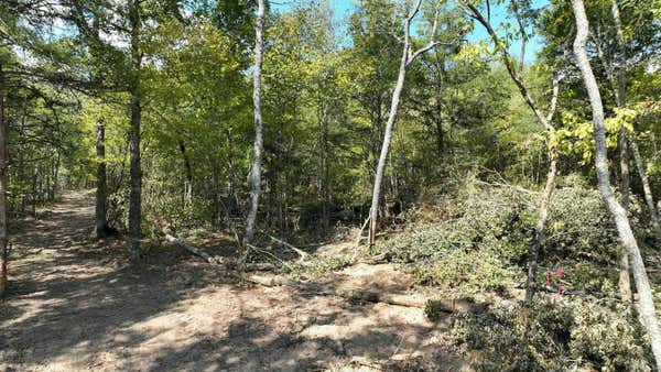 TBD, TRACT 2 POLK ROAD 158, MENA, AR 71953, photo 4 of 18