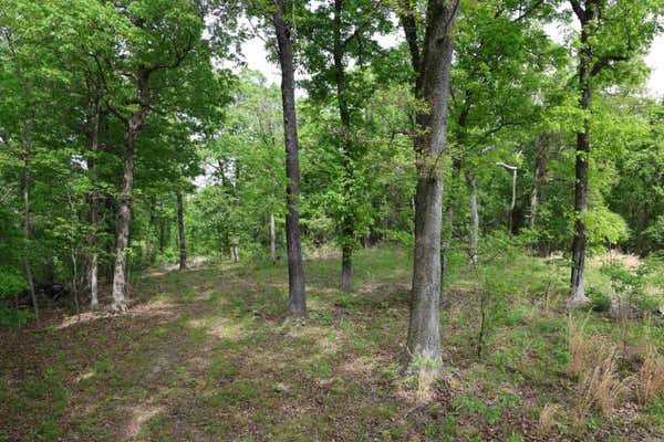 2 PLUM TREE TRL, NORFORK, AR 72658 - Image 1