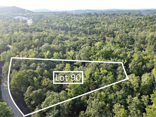 TBD LAKE JUANITA DRIVE, HOT SPRINGS, AR 71901 - Image 1